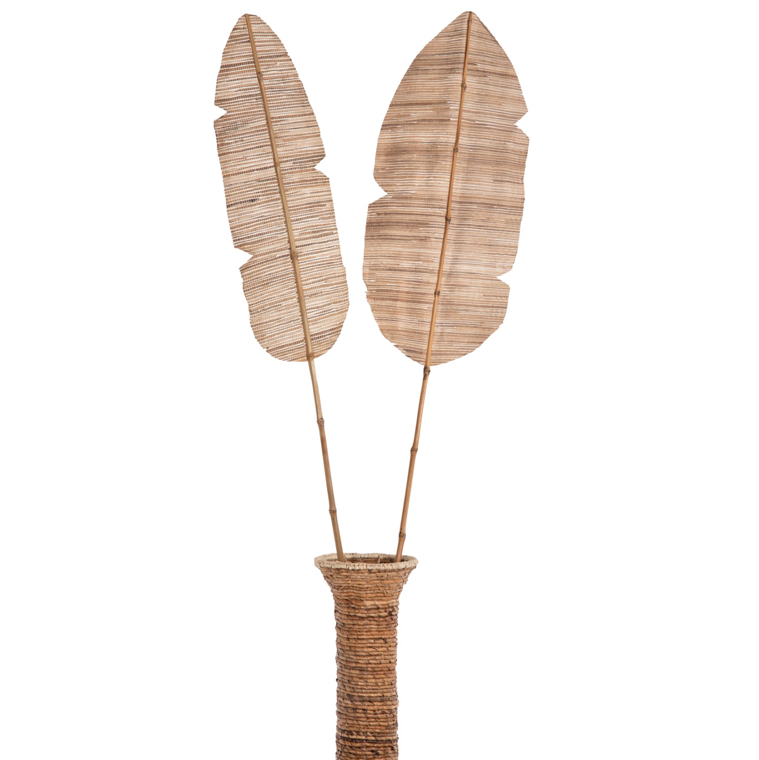 Декоративнолисто  в естествен цвят 32x200x3 см