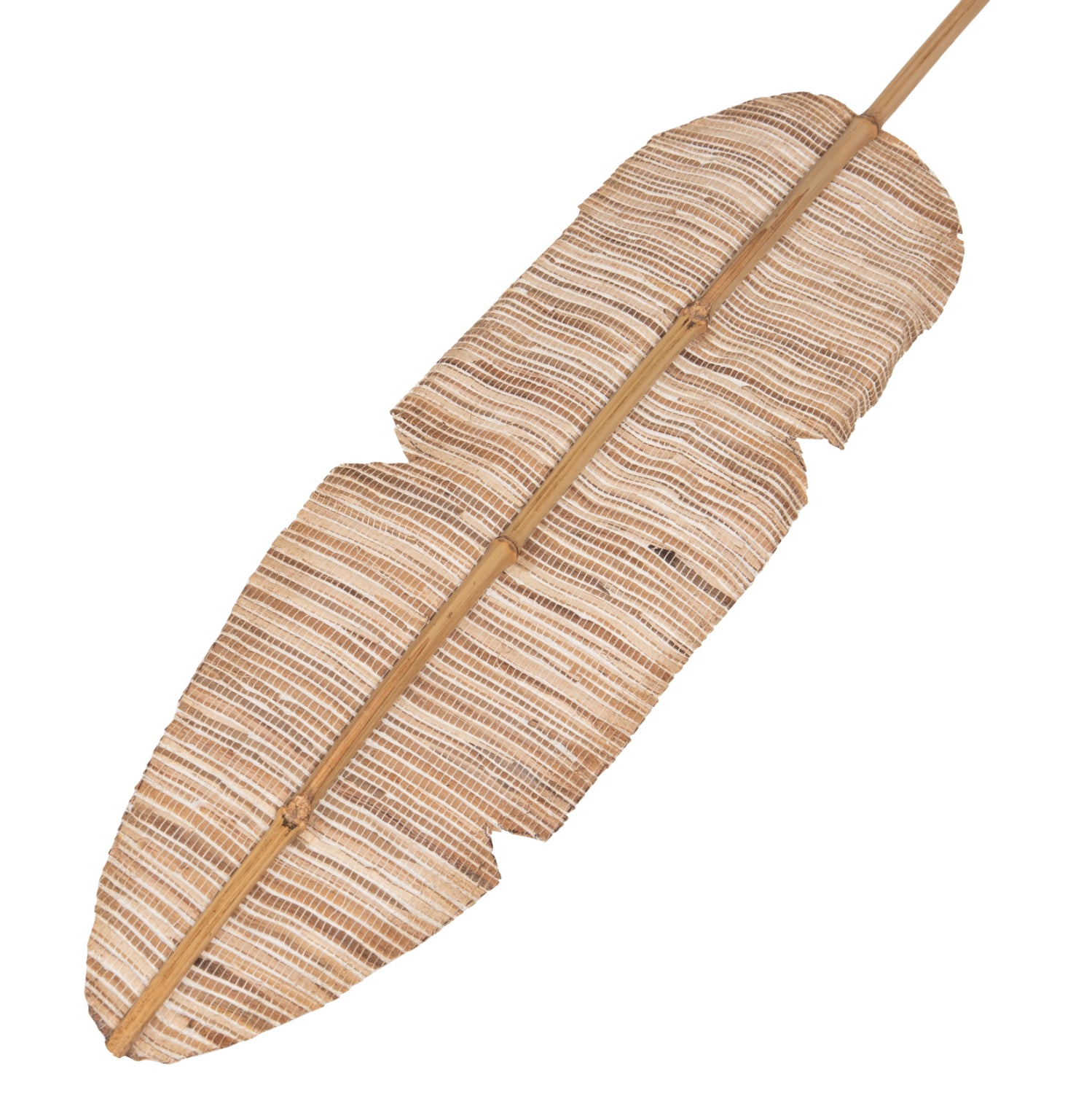 Декорация перо натурал 15x200x3