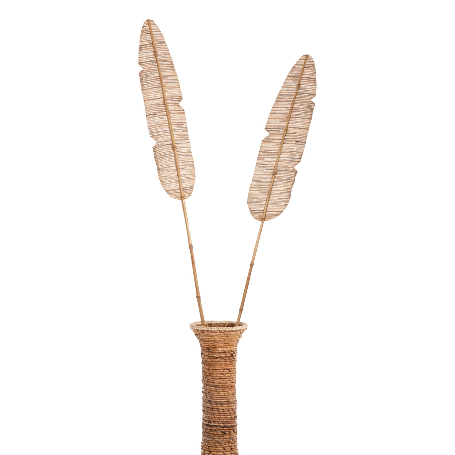 Декорация перо натурал 15x200x3