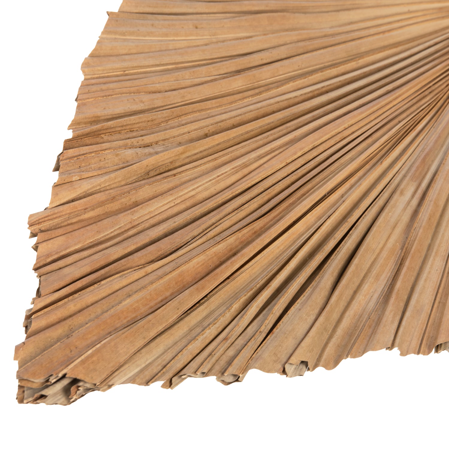 Декорация палмово листо натурал 42x135x3