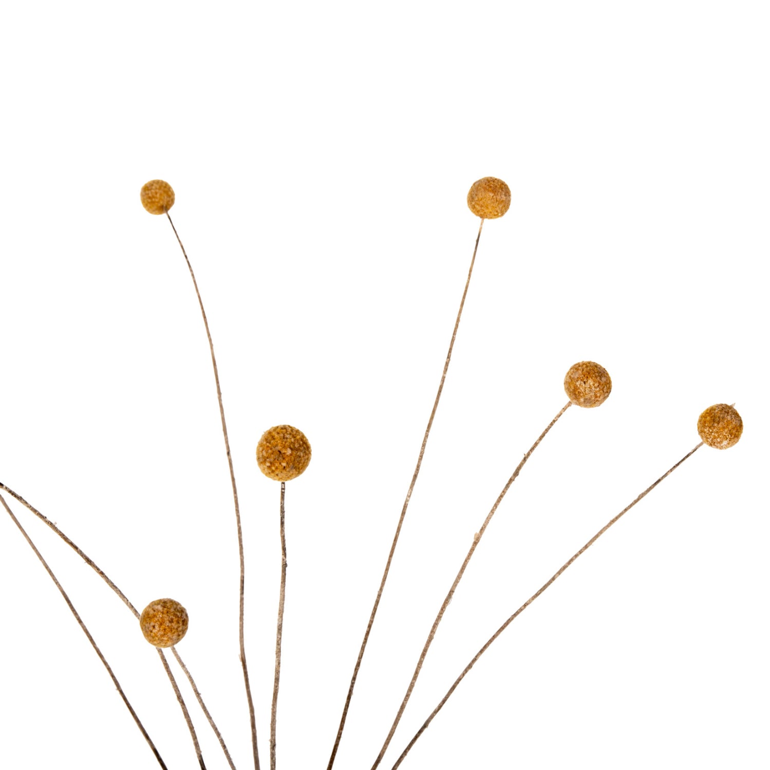 Декоративен букет  CRASPEDIA жълта 63см