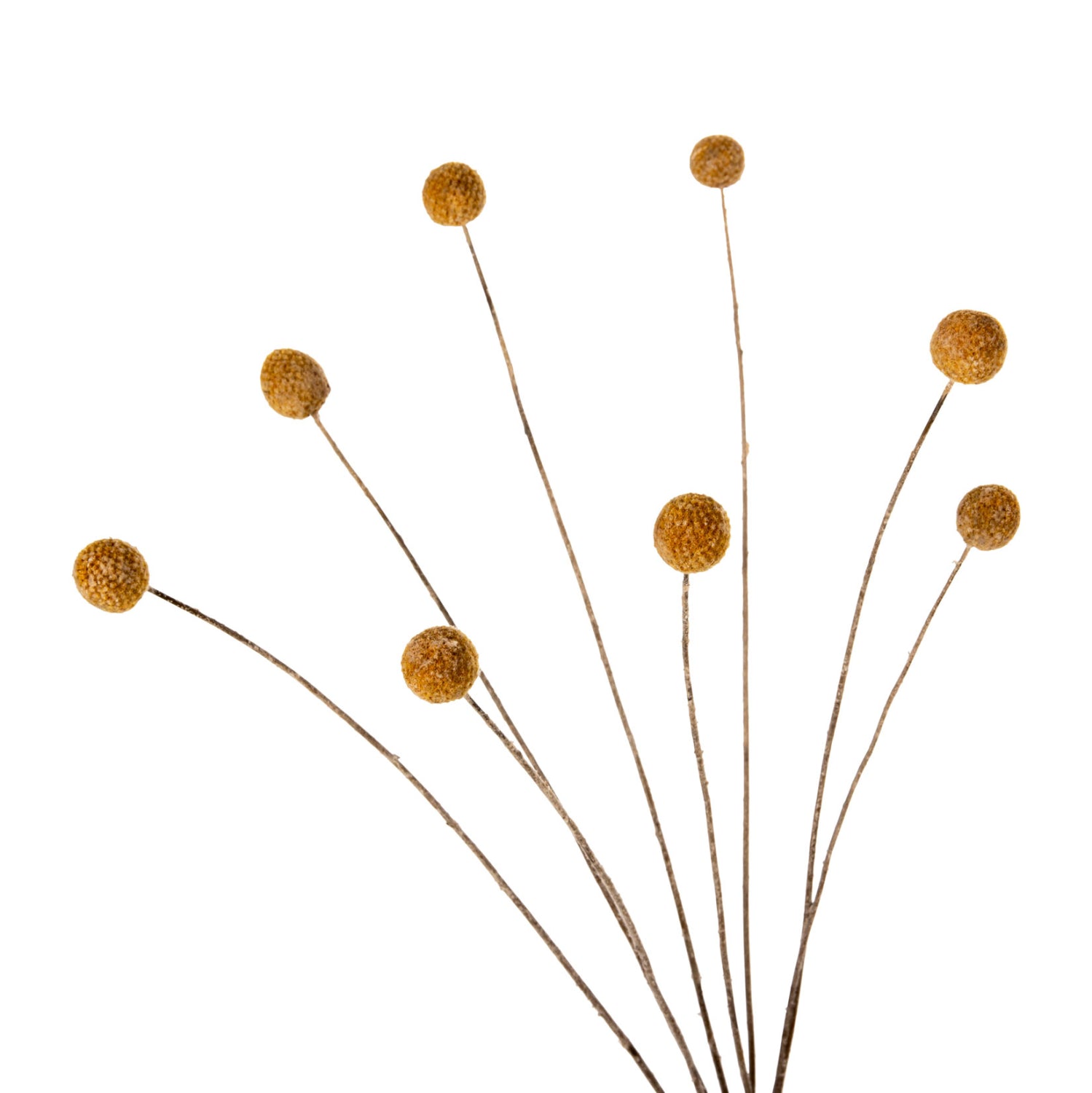 Декоративен букет  CRASPEDIA жълта 63см