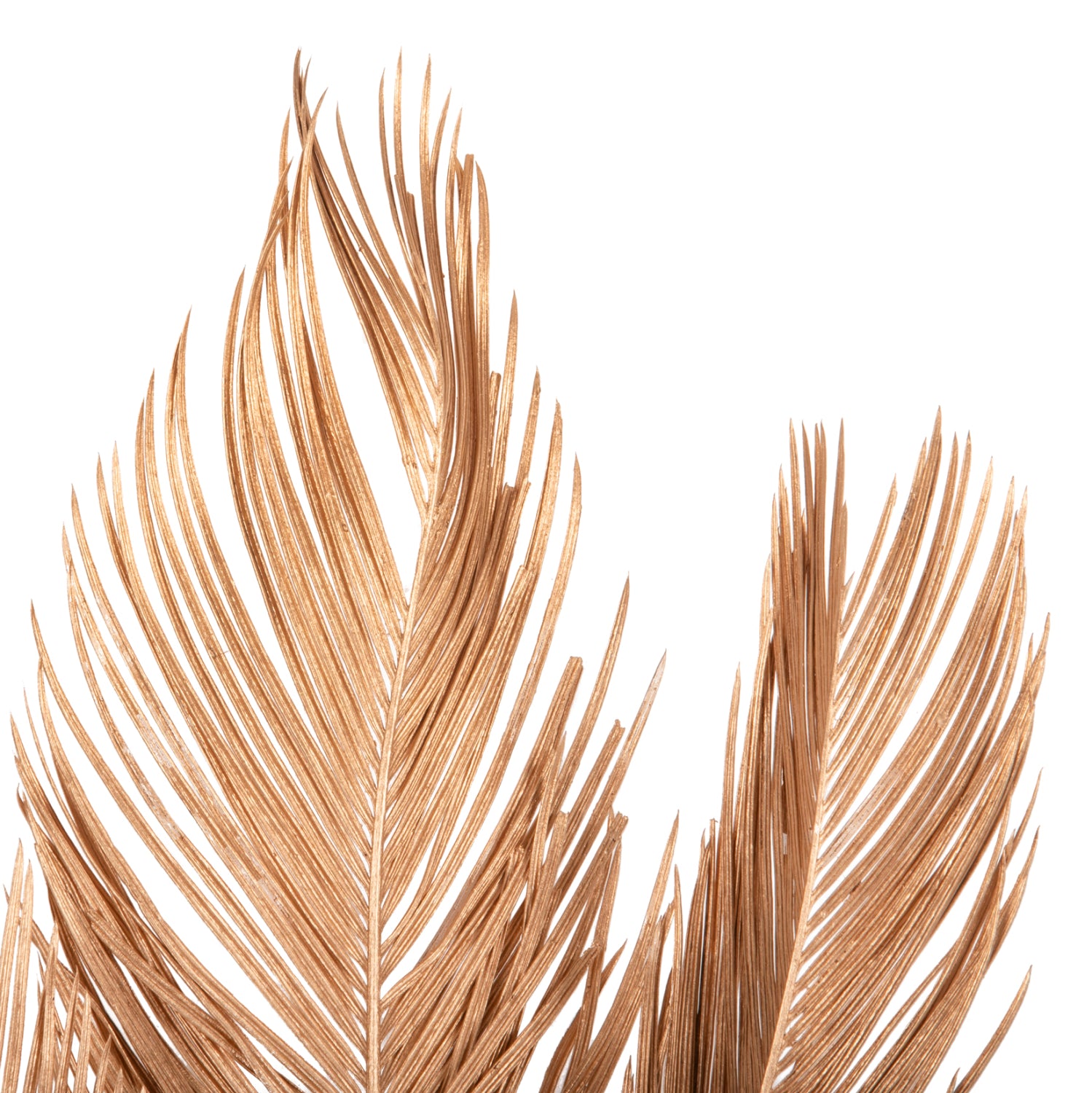 Декоративни листа  комлект от 3бр натурал 110см