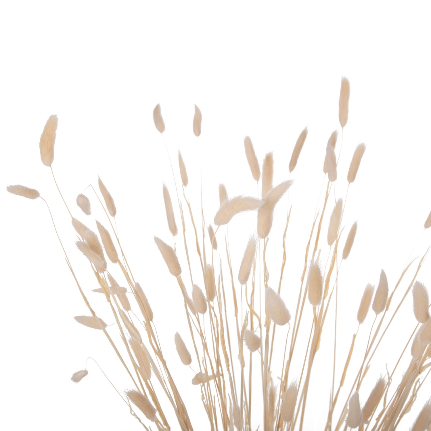 Декоративен букет заешка опашка цвят натурал 76см