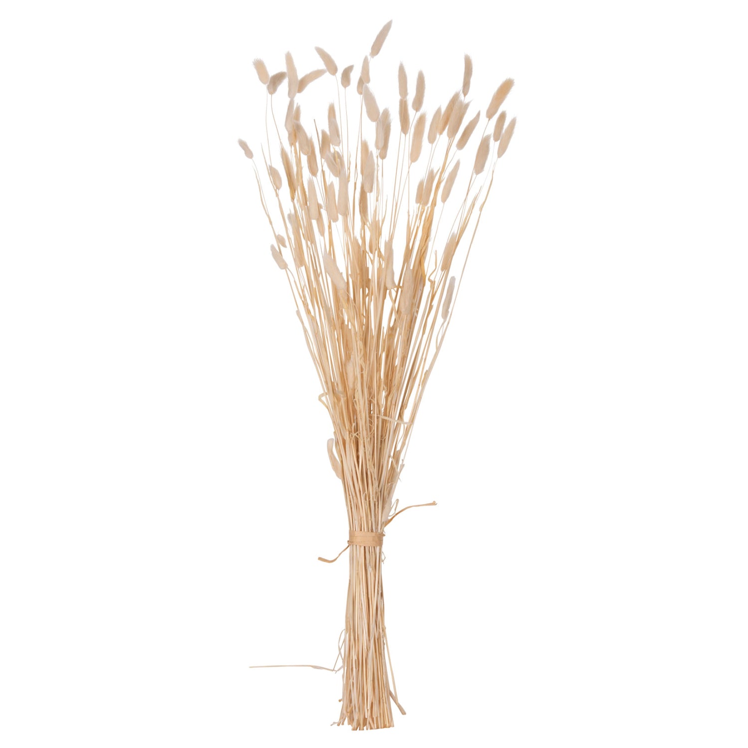 Декоративен букет заешка опашка цвят натурал 76см