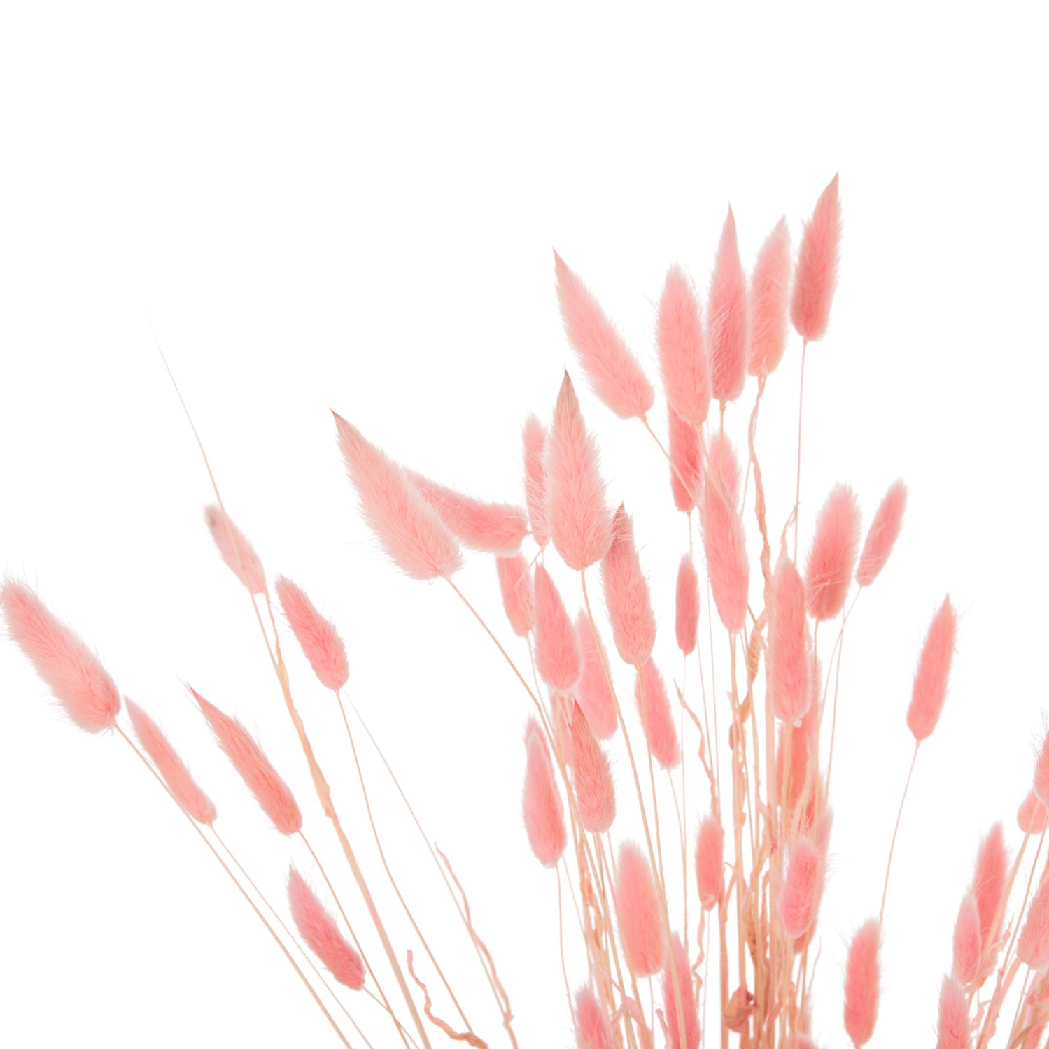 Декоративен букет заешка опашка розов цвят 75см