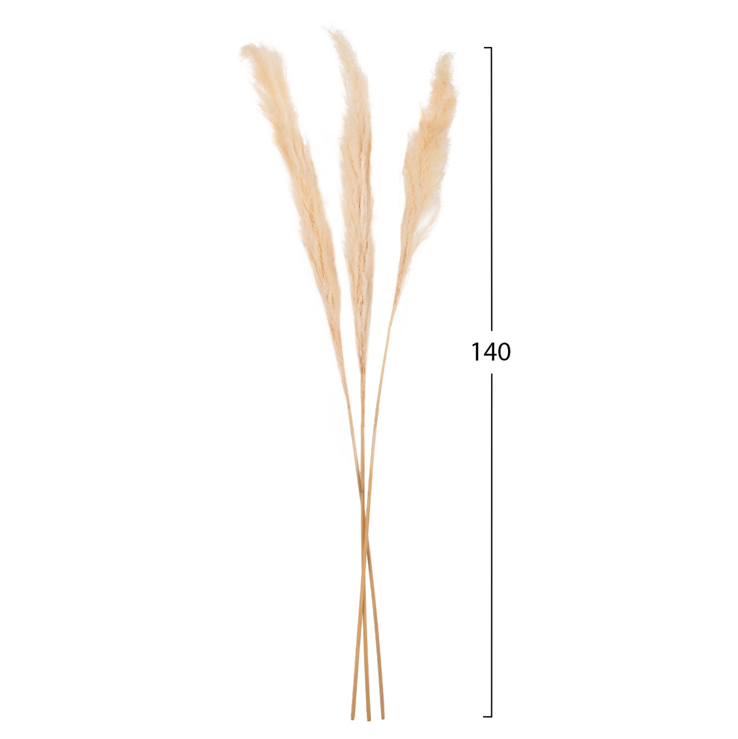 Декоративни листа букет от 3 броя натурал 140см