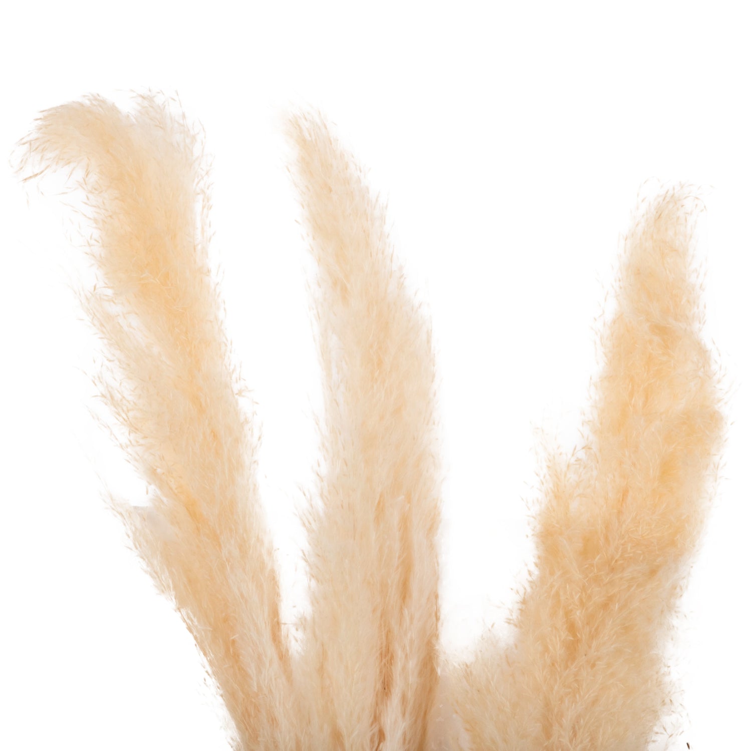 Декоративни листа букет от 3 броя натурал 140см