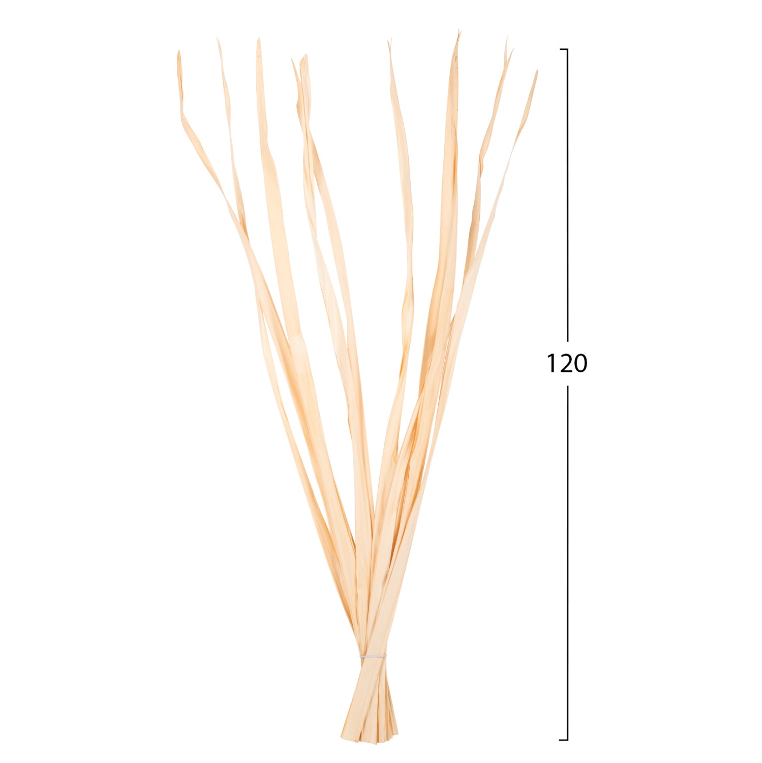 Декоративен букет от 10бр сушена трева 120см
