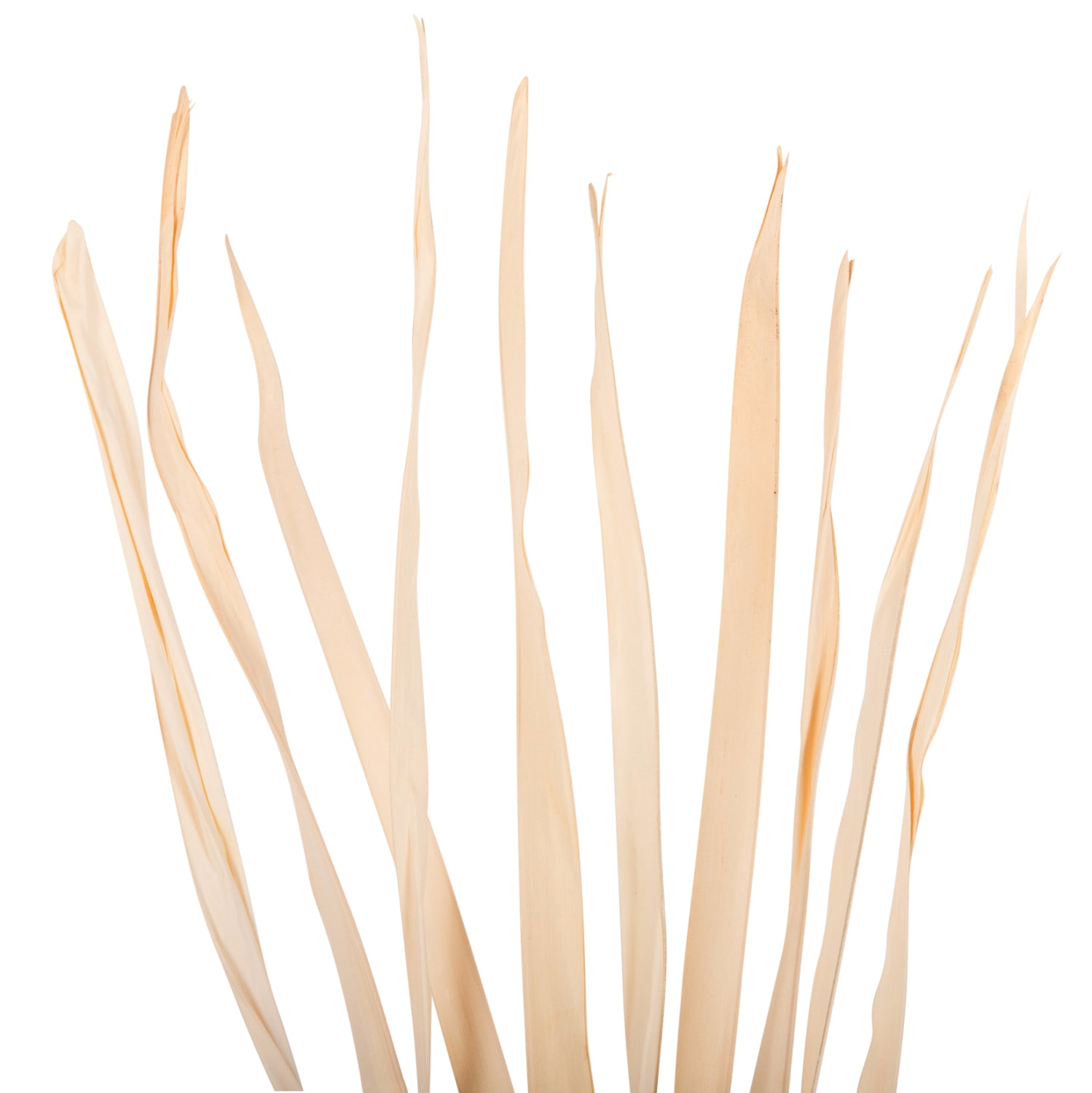 Декоративен букет от 10бр сушена трева 120см