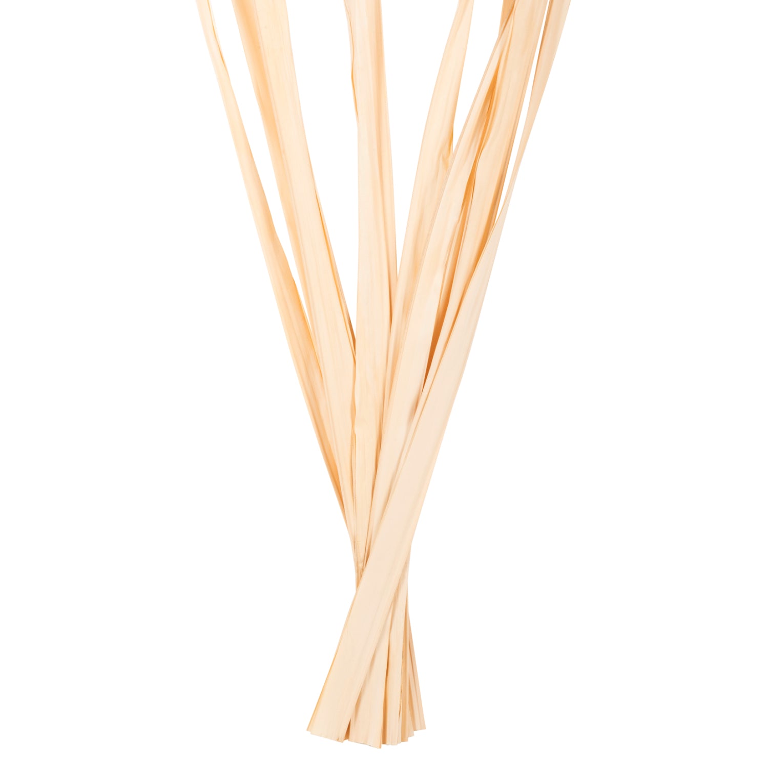 Декоративен букет от 10бр сушена трева 120см