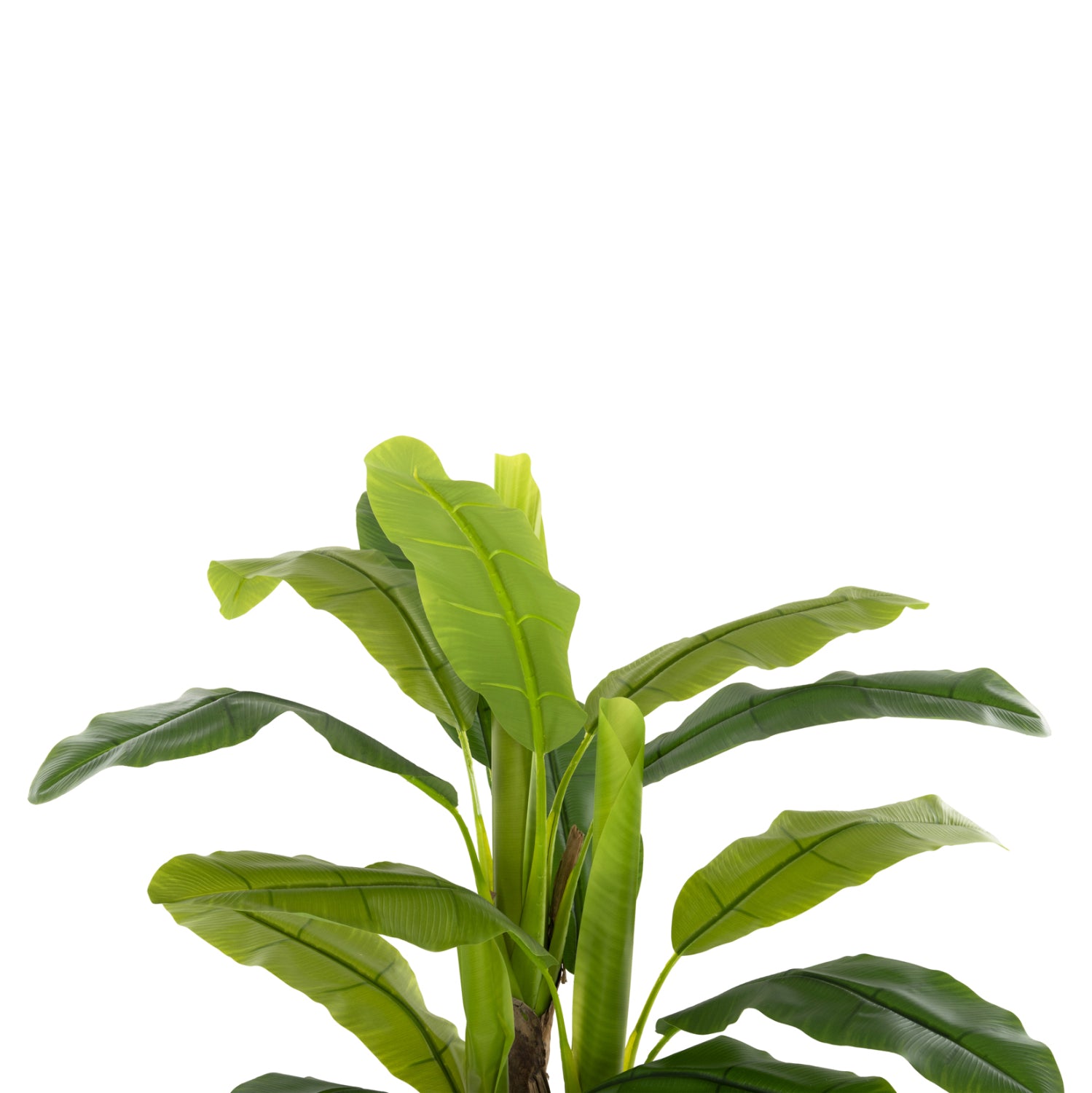 Растение бананово дърво 123см