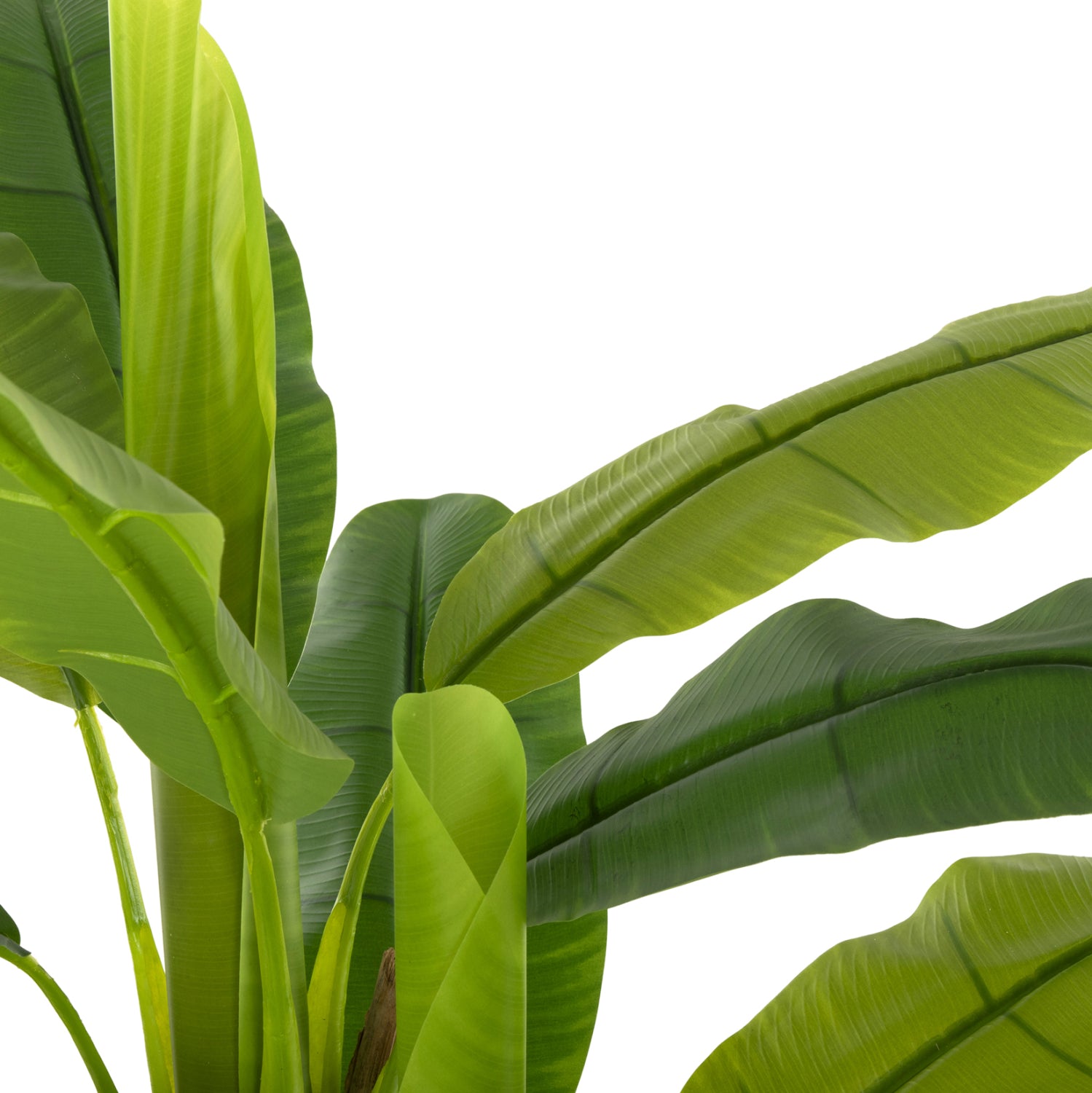 Растение бананово дърво 123см