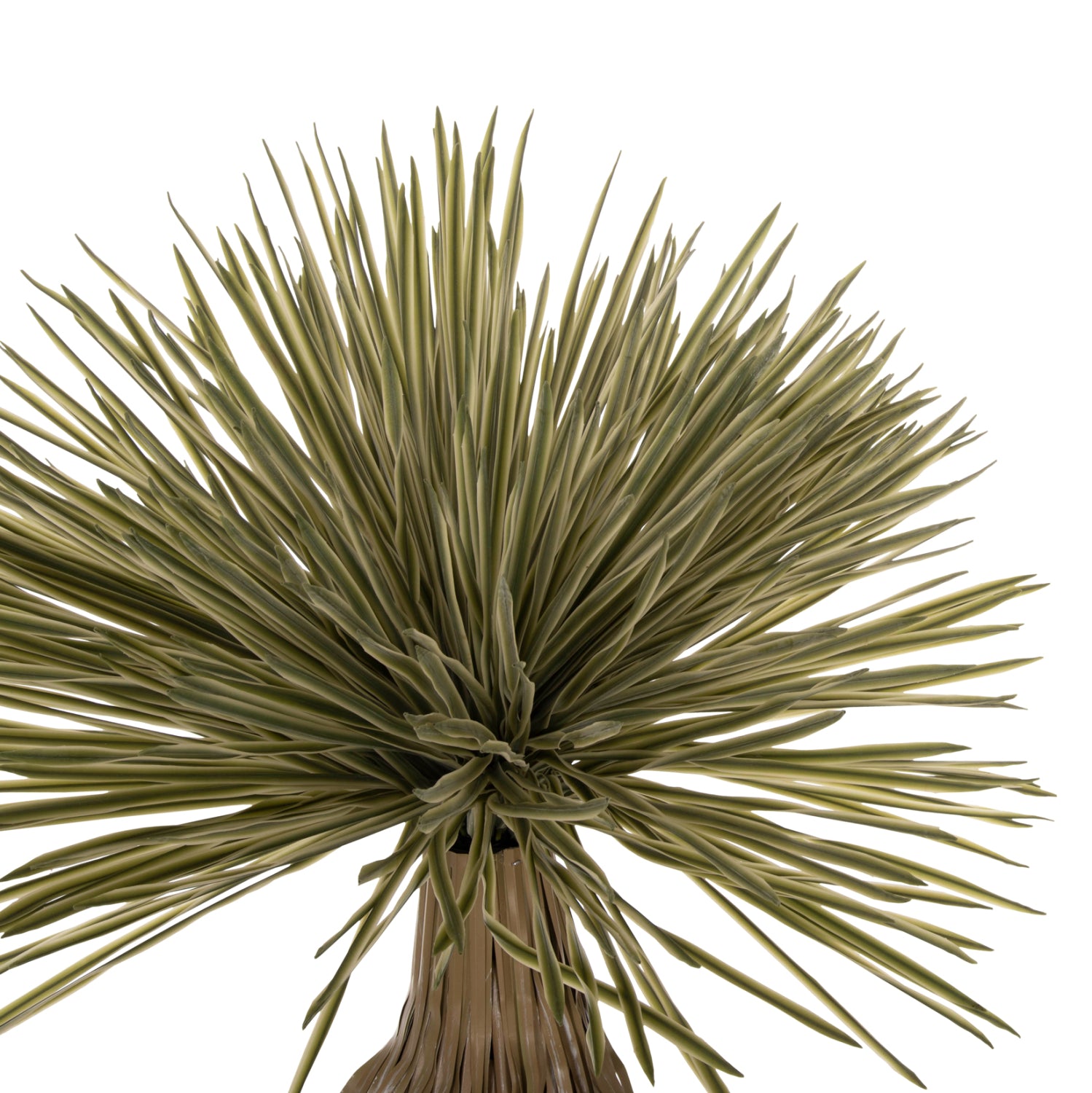 Растение декоративно в саксия в светло зелен цвят 145см