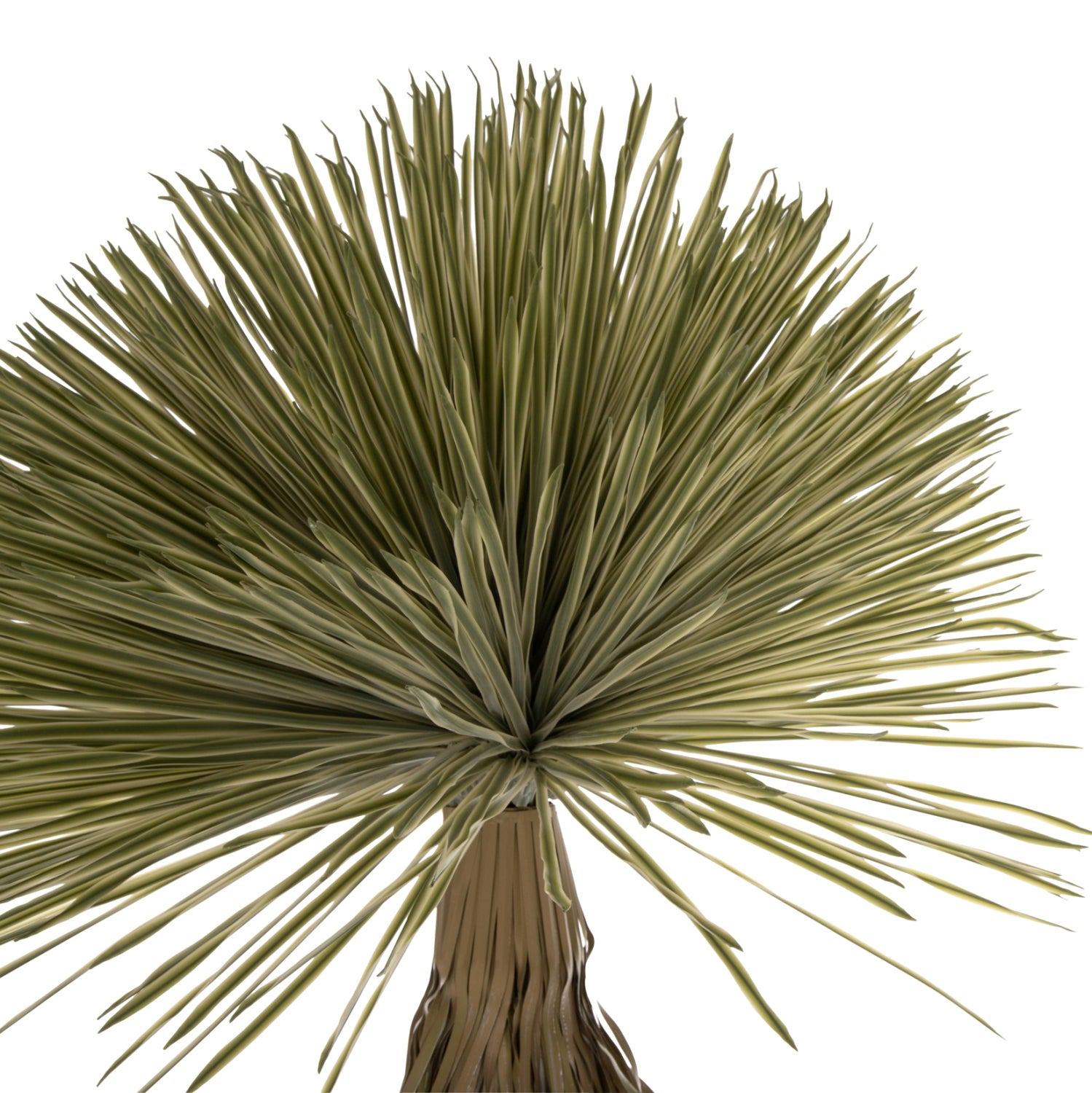 Растение декоративно в саксия в светло зелен цвят 220см