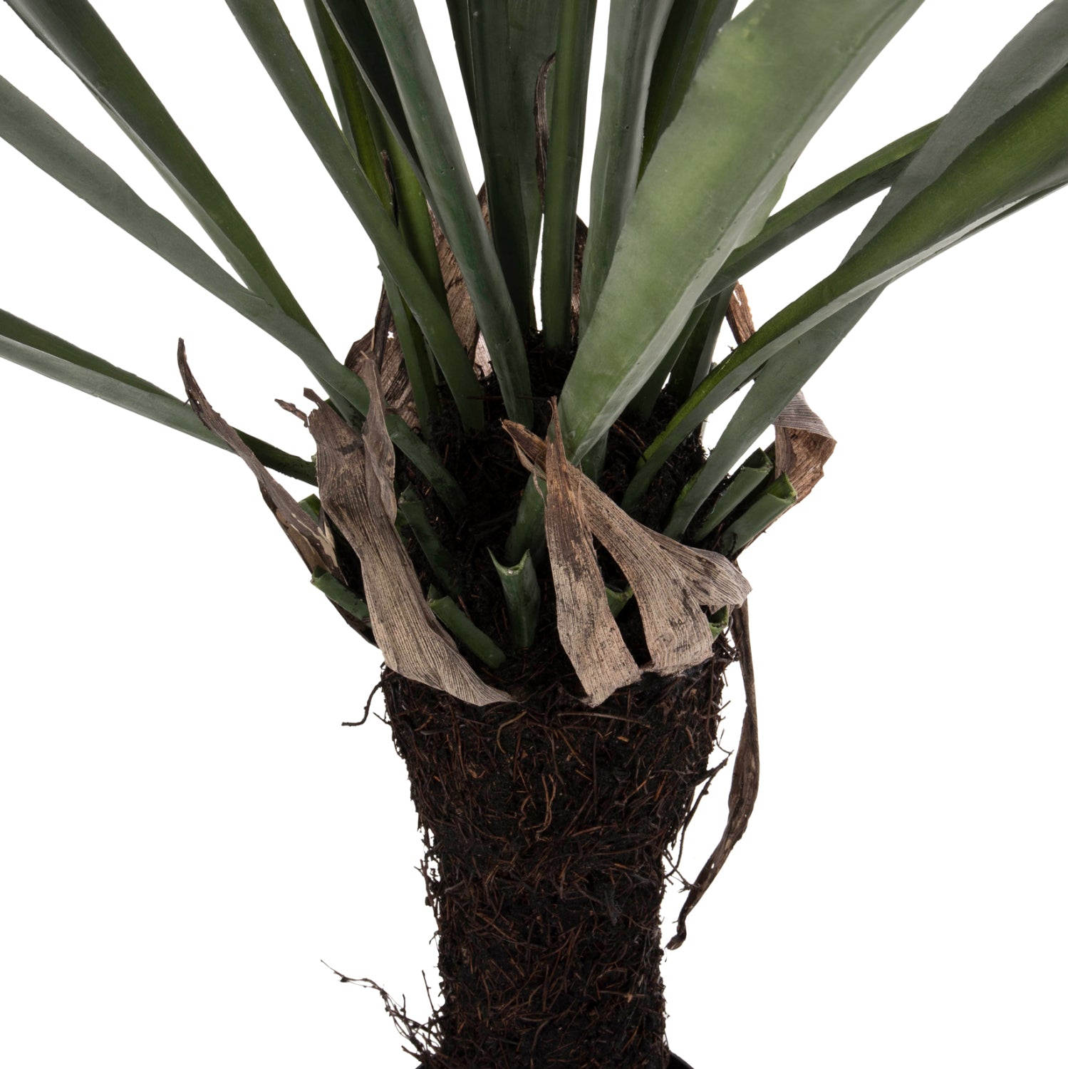 Растение папрат в саксия зелен цвят 137см