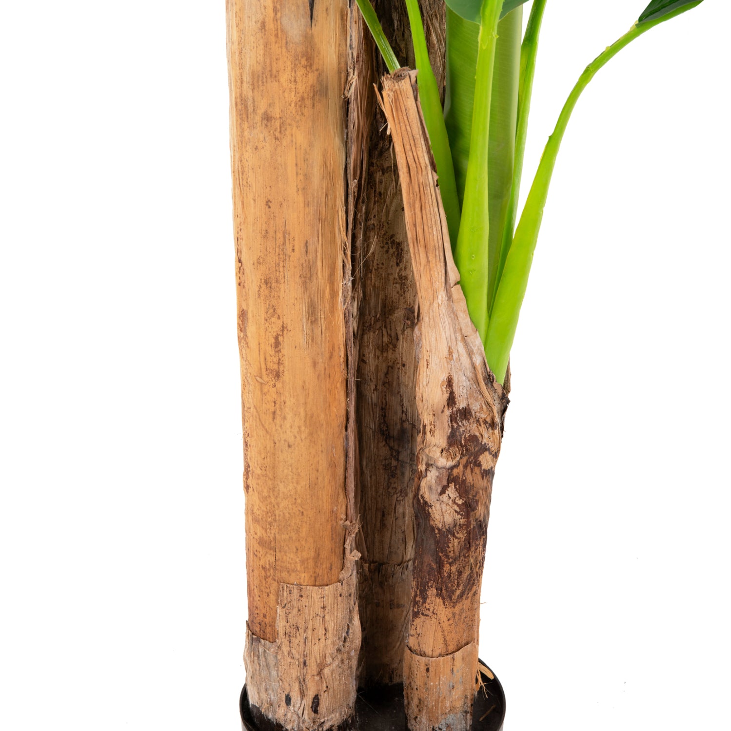 ДЕКОРАТИВНО СИНТЕТИЧНО РАСТЕНИЕ БАНАНОВО ДЪРВО В САКСИЯ 200см.