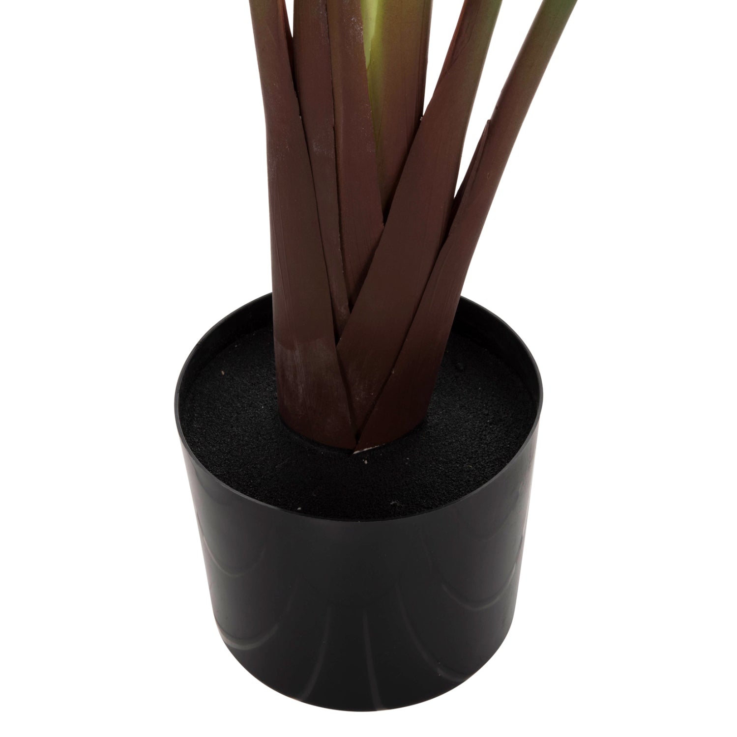 Растение декоративно  стрелиция в саксия зелен цвят  Φ17x14.5-137