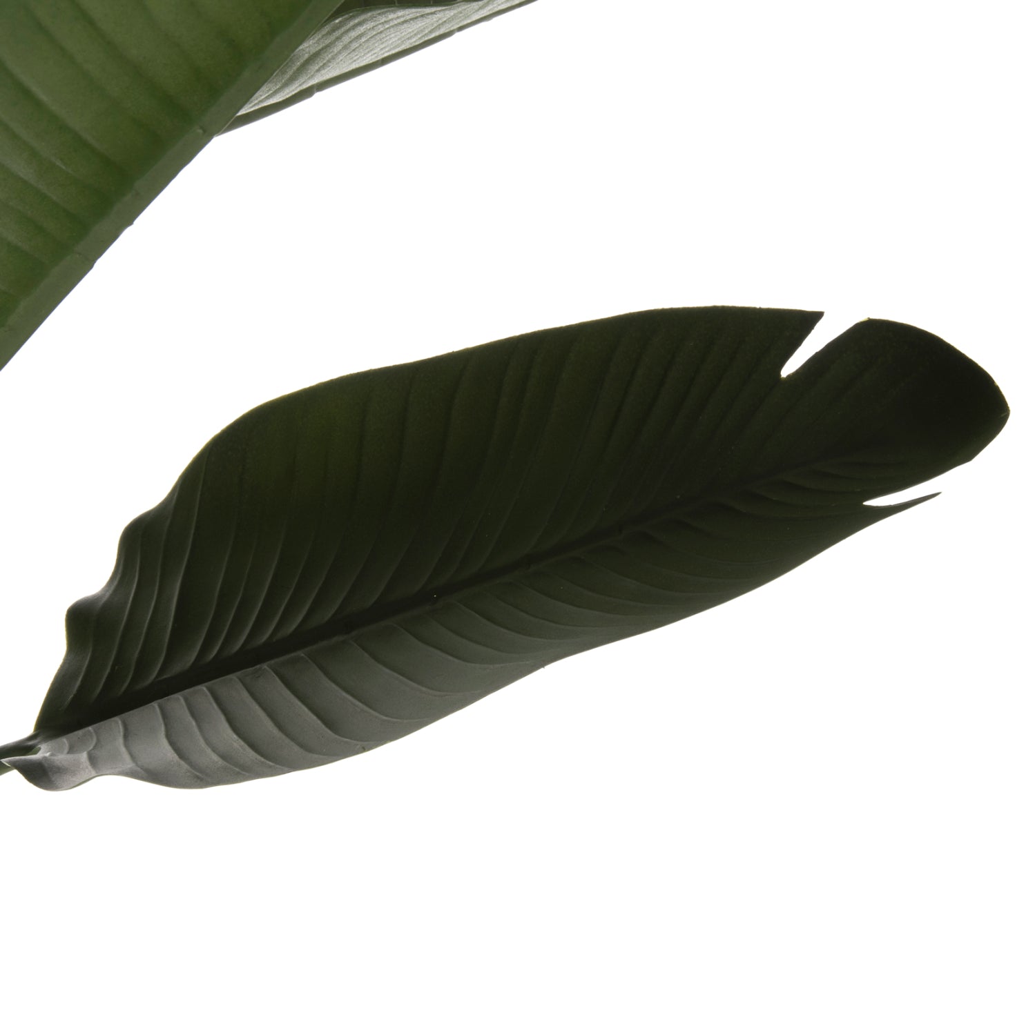 Саксийно изкуствено растение 7982 зелен-кафяв цвят Φ17x14,5-150см