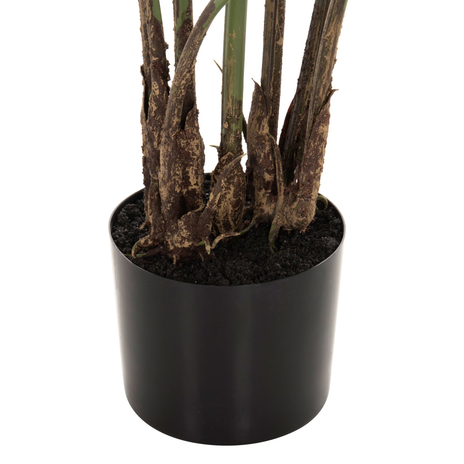 Растение бананово дърво 100см