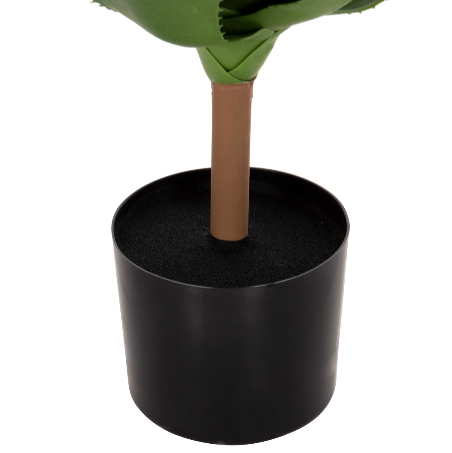 Растение широколистна агава в саксия  КГ7986 зелен цвят   Φ15x12.5-62см.