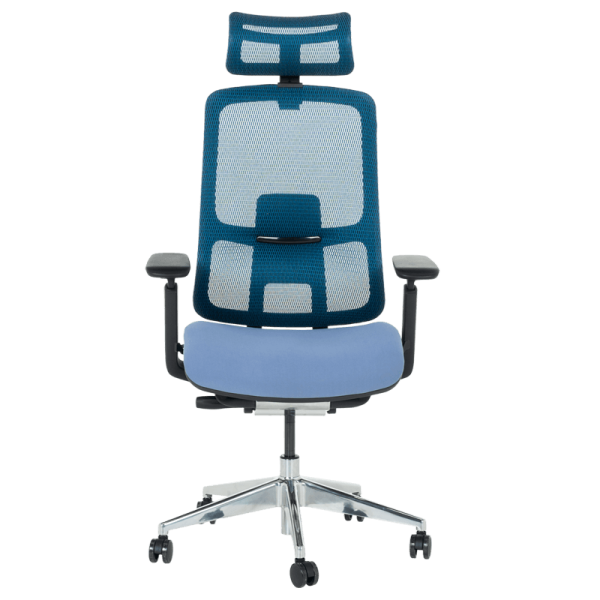 Ергономичен стол SALTO - син