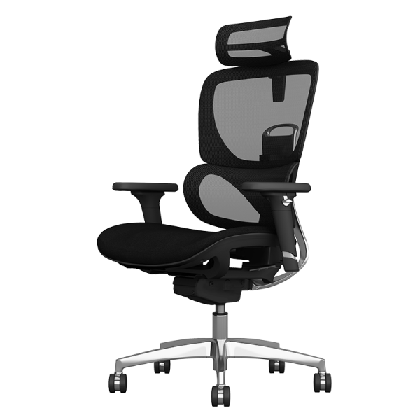 Ергономичен стол GANDER - черен