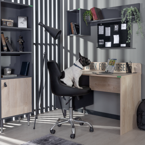 Детско бюро MOTTO