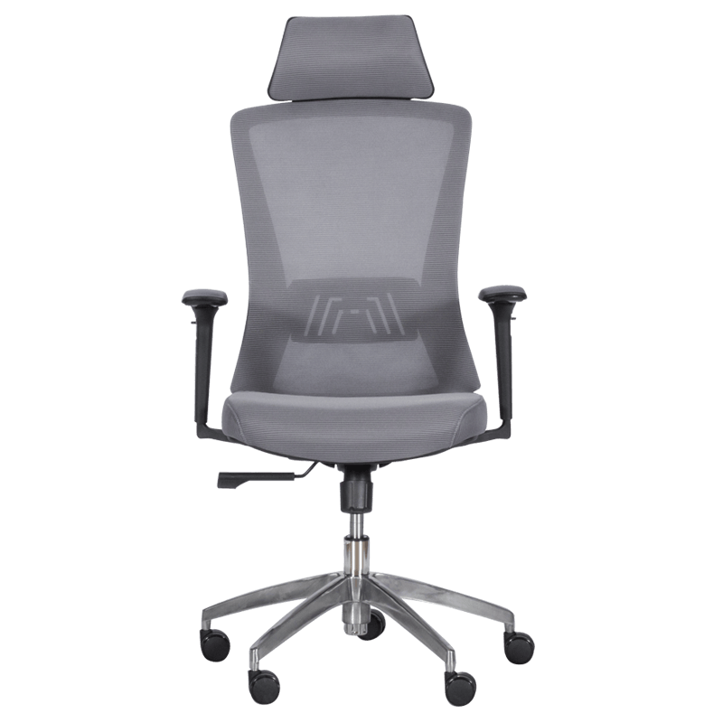 Ергономичен стол Carmen 7542 - сив