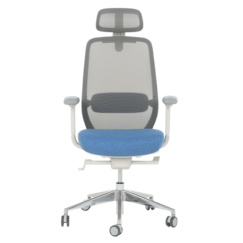 Ергономичен стол GLAND - син-сив