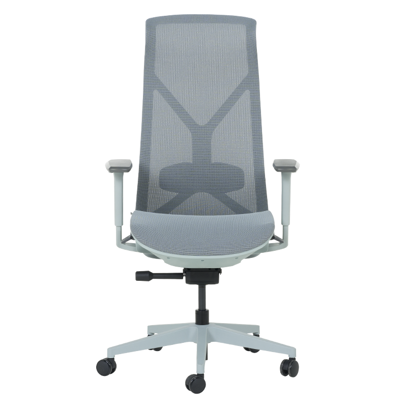 Ергономичен стол BETHAL - син