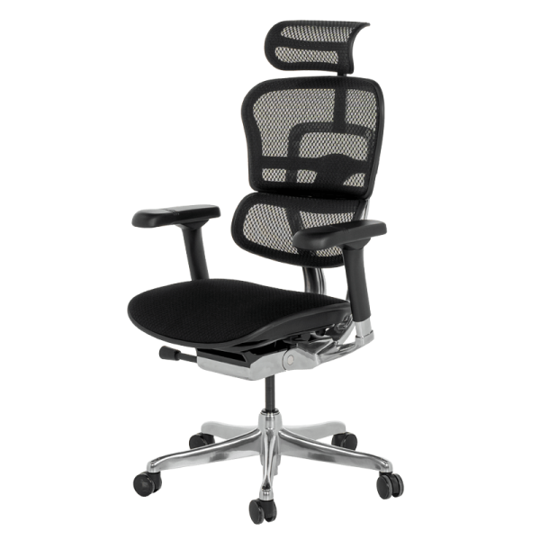 Ергономичен стол ERGOHUMAN ELITE 2 - черна рамка - черен