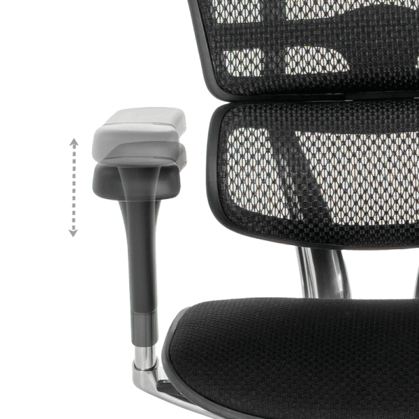 Ергономичен стол ERGOHUMAN ELITE 2 - черна рамка - черен