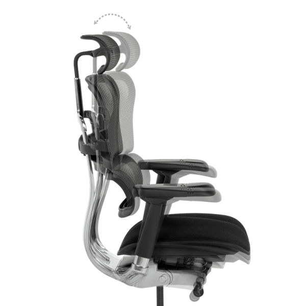 Ергономичен стол ERGOHUMAN ELITE 2 - черна рамка - черен