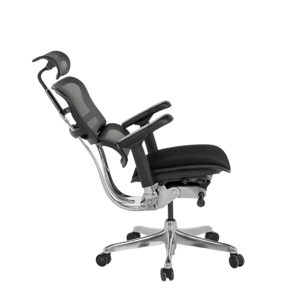 Ергономичен стол ERGOHUMAN ELITE 2 - черна рамка - черен