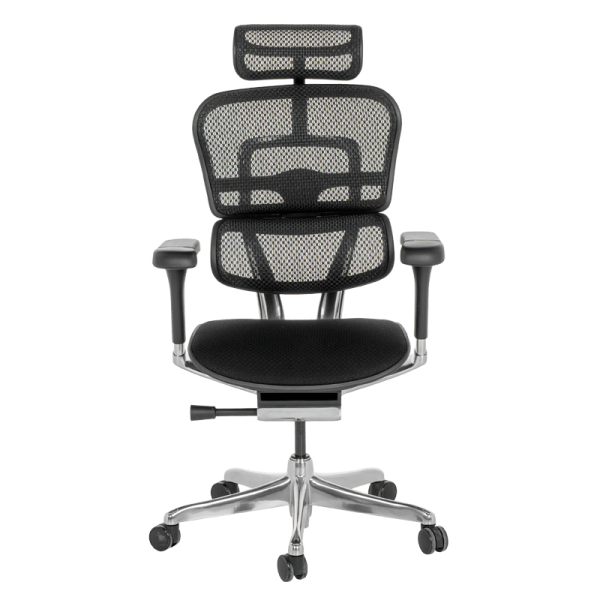 Ергономичен стол ERGOHUMAN ELITE 2 - черна рамка - черен