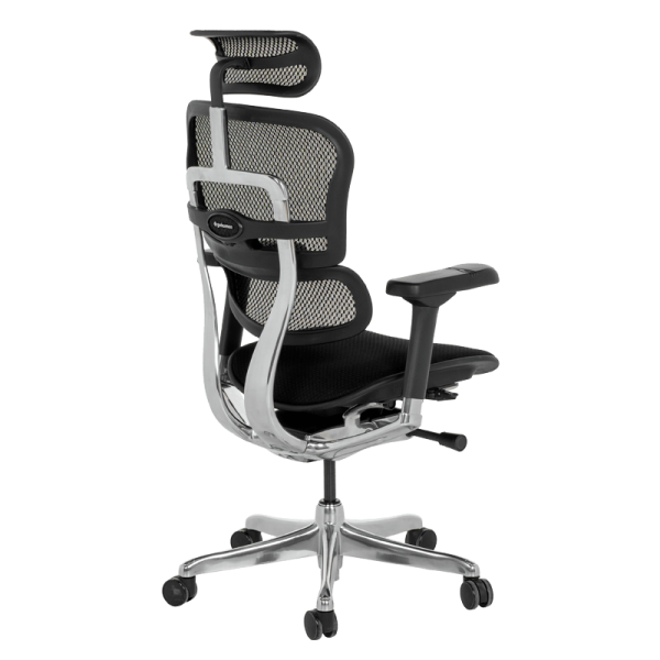 Ергономичен стол ERGOHUMAN ELITE 2 - черна рамка - черен