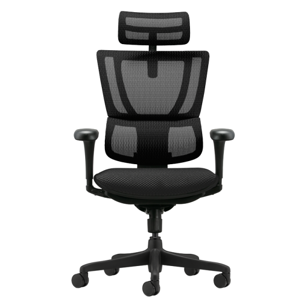 Ергономичен стол ERGOHUMAN IOO BUDGET 2 - черна рамка - черен