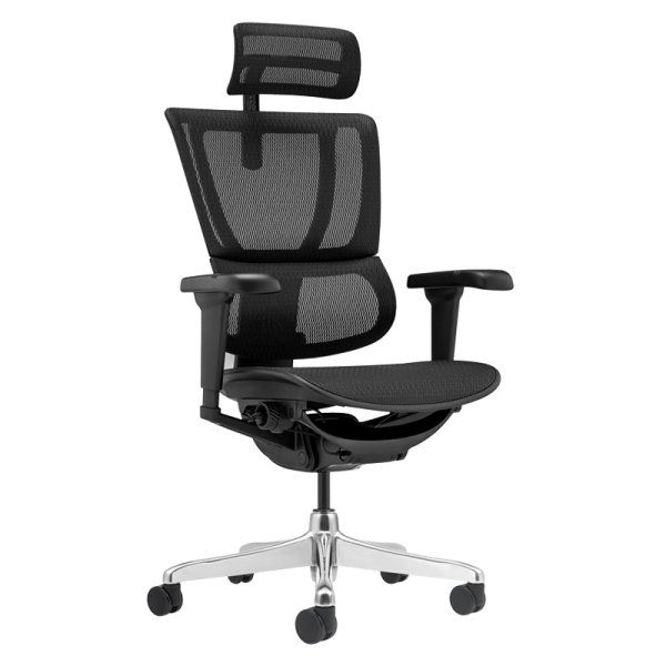 Ергономичен стол ERGOHUMAN IOO ULTRA - черна рамка - черен