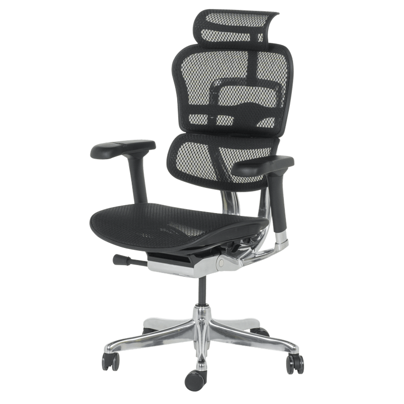 Ергономичен стол ERGOHUMAN ELITE 2 - черна рамка - черен