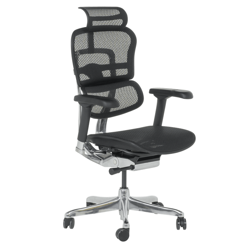 Ергономичен стол ERGOHUMAN ELITE 2 - черна рамка - черен