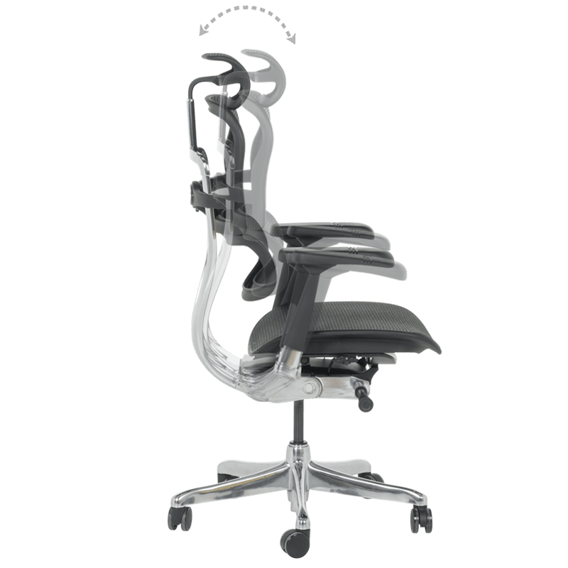 Ергономичен стол ERGOHUMAN ELITE 2 - черна рамка - черен