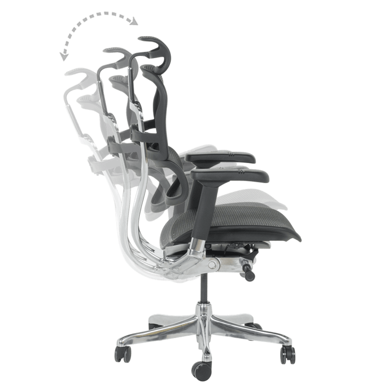 Ергономичен стол ERGOHUMAN ELITE 2 - черна рамка - черен