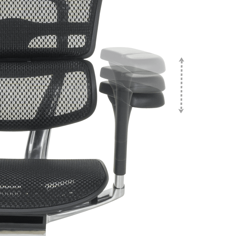 Ергономичен стол ERGOHUMAN ELITE 2 - черна рамка - черен