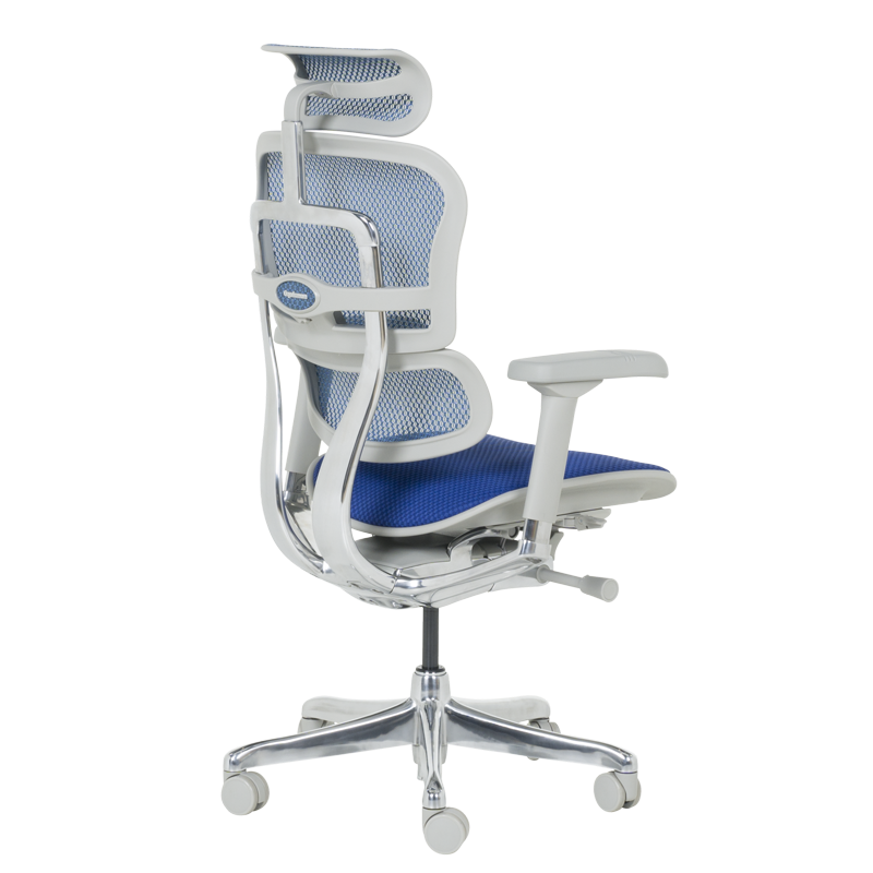 Ергономичен стол ERGOHUMAN ELITE 2 - сива рамка - син