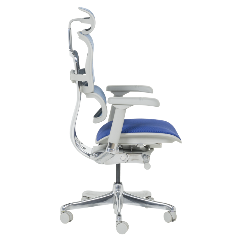 Ергономичен стол ERGOHUMAN ELITE 2 - сива рамка - син