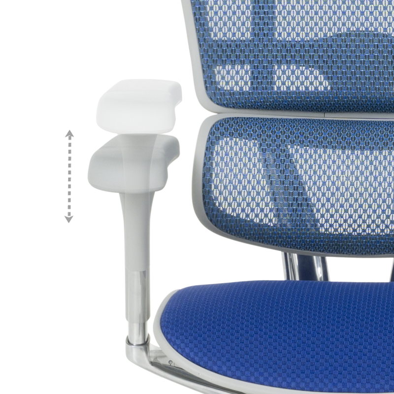 Ергономичен стол ERGOHUMAN ELITE 2 - сива рамка - син