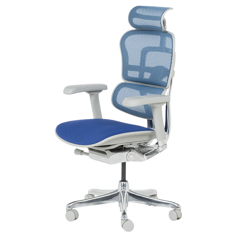 Ергономичен стол ERGOHUMAN ELITE 2 - сива рамка - син