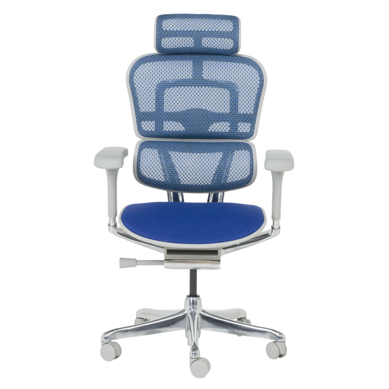 Ергономичен стол ERGOHUMAN ELITE 2 - сива рамка - син