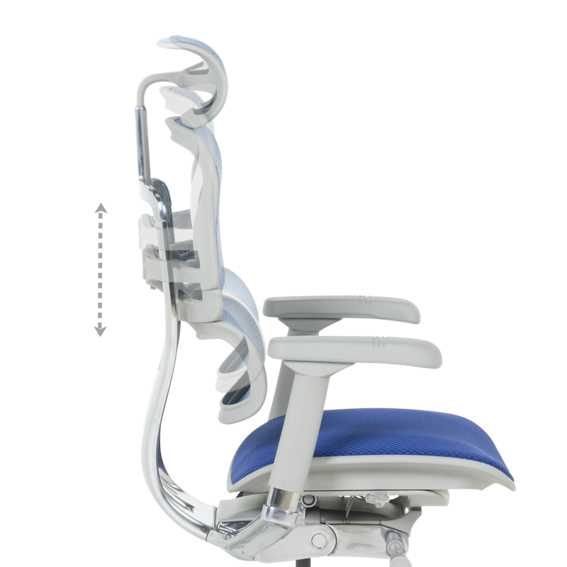 Ергономичен стол ERGOHUMAN ELITE 2 - сива рамка - син